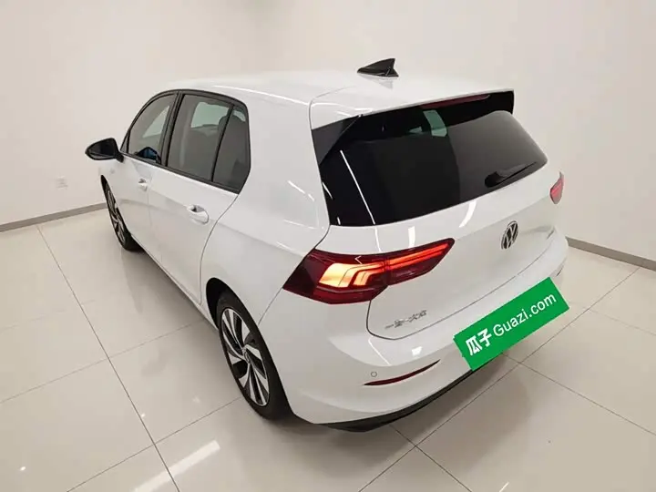 Volkswagen Golf 2025 2025款 改款 300TSI Pro