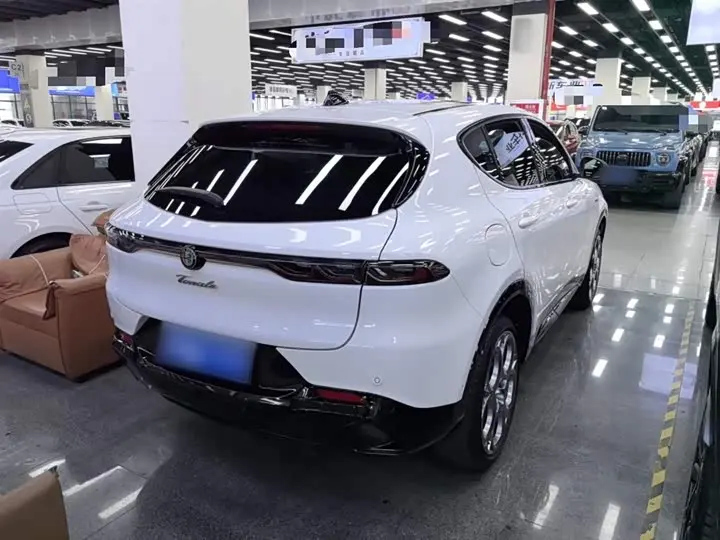 Alfa Romeo Tonale 2023 2023款 2.0T 268HP AWD Veloce赛道版