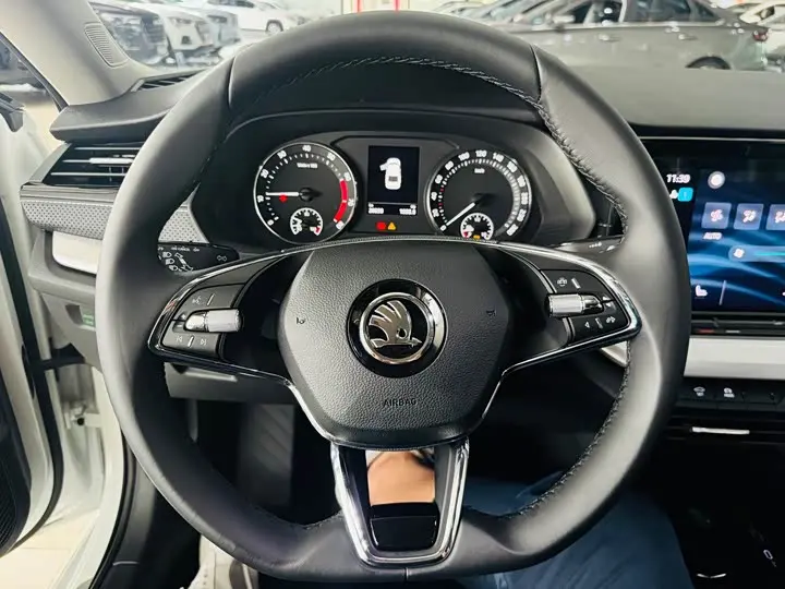 Skoda Octavia Pro 2023 2023款 改款 PRO TSI280 尊享版