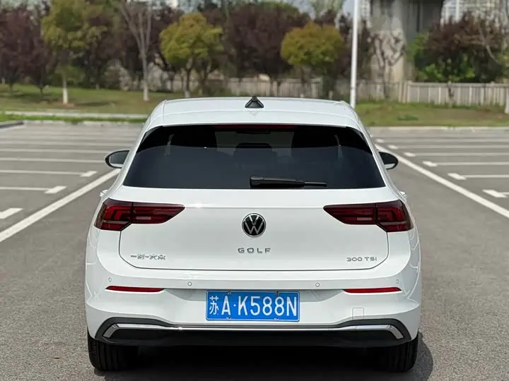 Volkswagen Golf 2025 2025款 改款 300TSI Pro