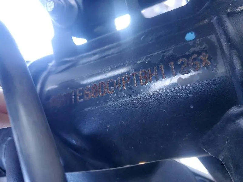 TRIUMPH TIGER 2023