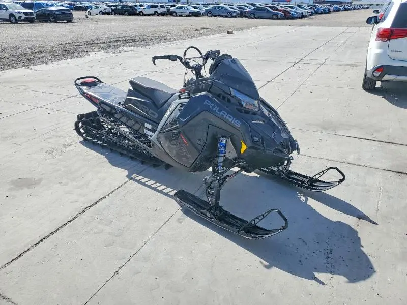 POLARIS  2023
