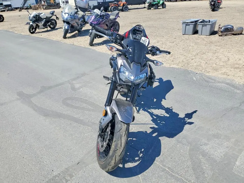 KAWASAKI Z/ZR 1000 2023
