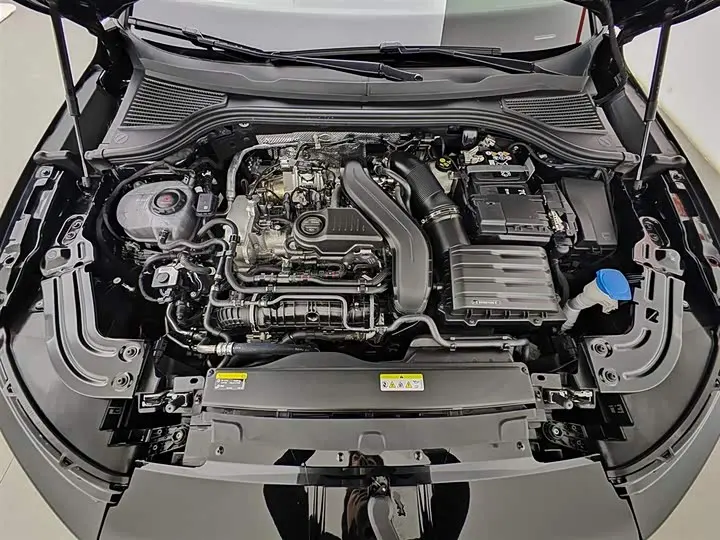 Volkswagen Magotan 2026 2026款 300TSI 尊享版显眼包