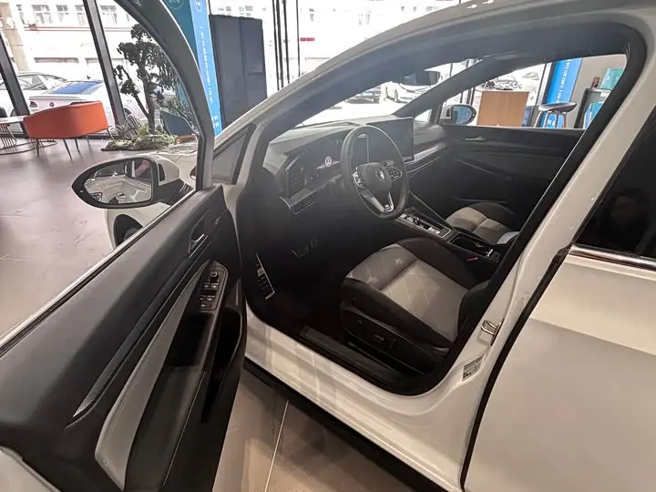 Volkswagen Golf 2025 2025款 300TSI R-Line