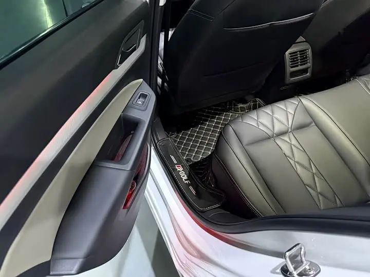 Volkswagen Golf 2024 2024款 280TSI DSG Pro 50年传奇版