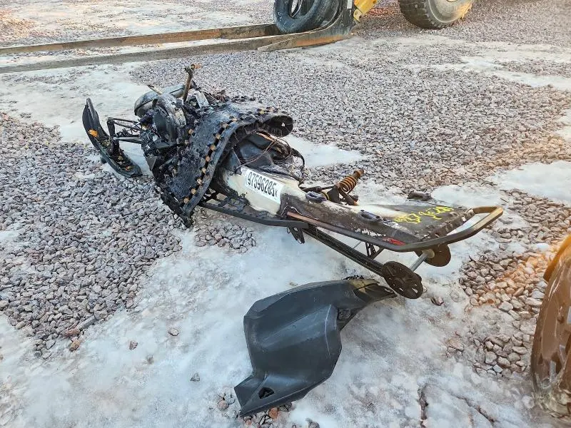SKI-DOO RECREATION 2024