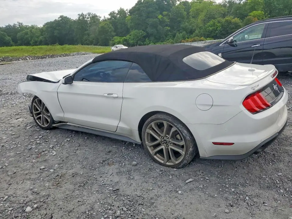 FORD MUSTANG 2019 VIN 1FATP8UH9K5116686