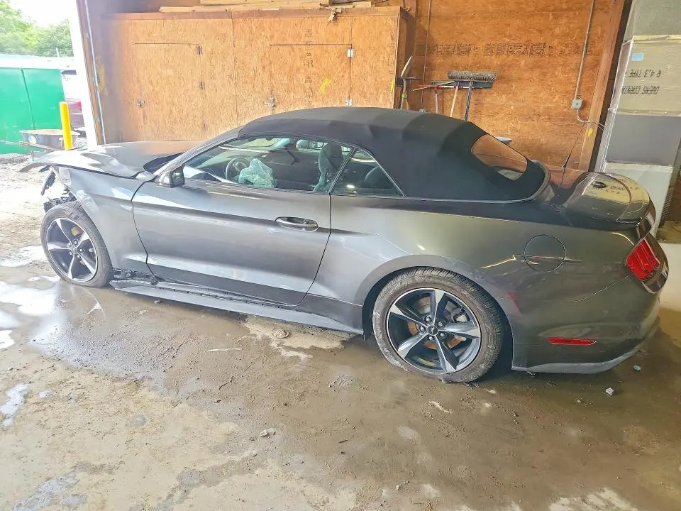 FORD MUSTANG 2019 VIN 1FATP8UH8K5129669