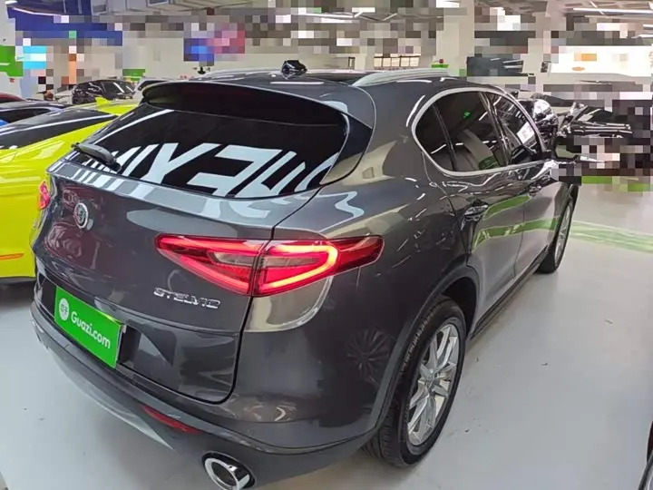 Alfa Romeo Stelvio 2020 2020款 2.0T 280HP 豪华版