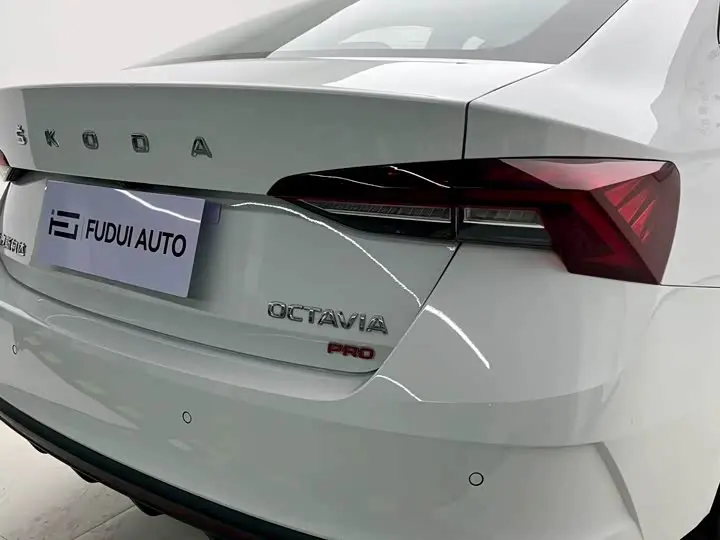Skoda Octavia Pro 2023 2023款 改款 PRO TSI280 尊享版