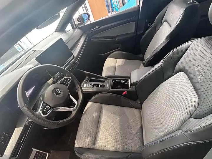 Volkswagen Golf 2025 2025款 300TSI R-Line