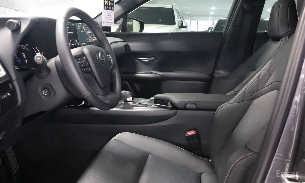 Lexus UX 2024 2.0 2WD