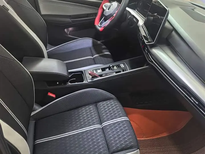 Volkswagen Golf 2025 2025款 300TSI Pro