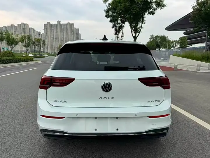 Volkswagen Golf 2025 2025款 300TSI Pro