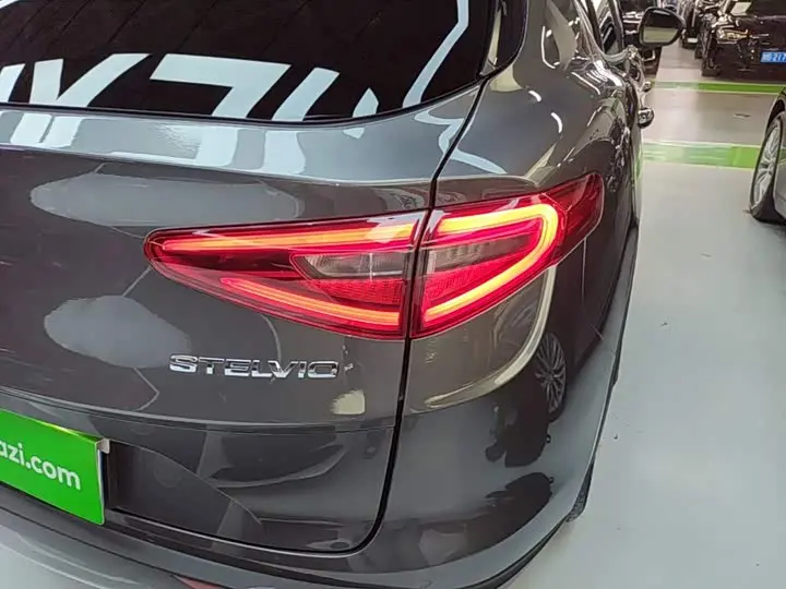 Alfa Romeo Stelvio 2020 2020款 2.0T 280HP 豪华版