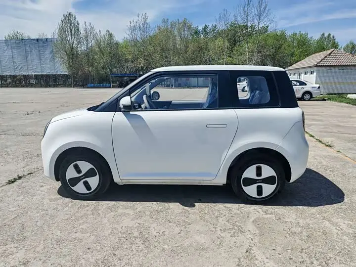 Changan Qiyuan (Nevo) Lumin 2026 2026款 宝藏版 205km 酷爱米 宁德