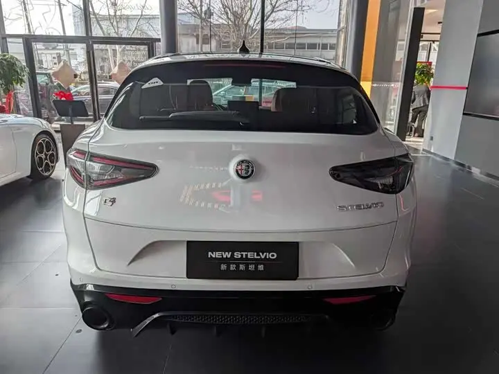 Alfa Romeo Stelvio 2023 2023款 2.0T 280HP Veloce赛道版