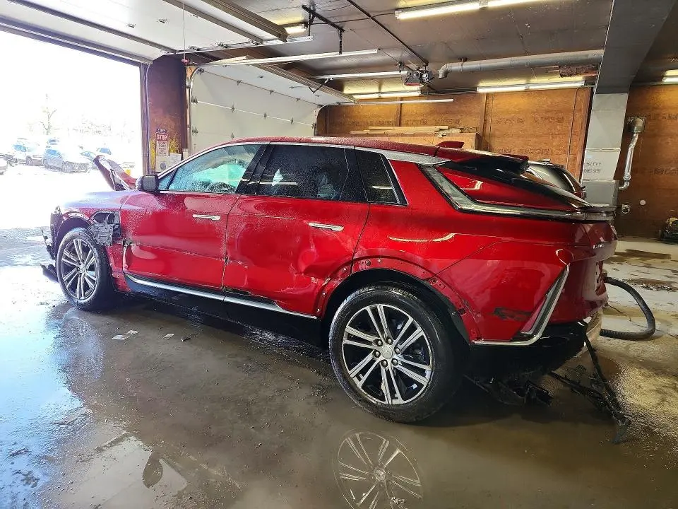 CADILLAC ALL OTHER 2025 VIN 1GYKPNRLXSZ311782