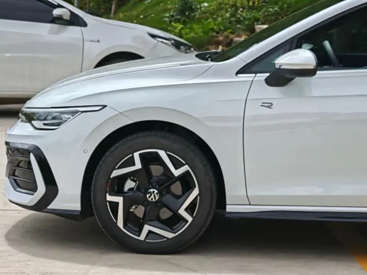 Volkswagen Golf 2026 2026款 300TSI R-Line