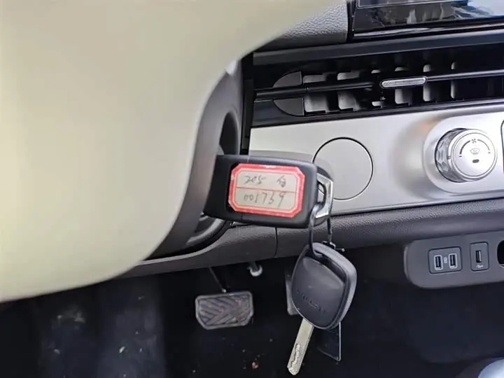 Changan Qiyuan (Nevo) Lumin 2026 2026款 宝藏版 205km 心爱米 国轩