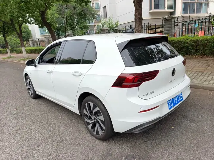 Volkswagen Golf 2025 2025款 300TSI Pro