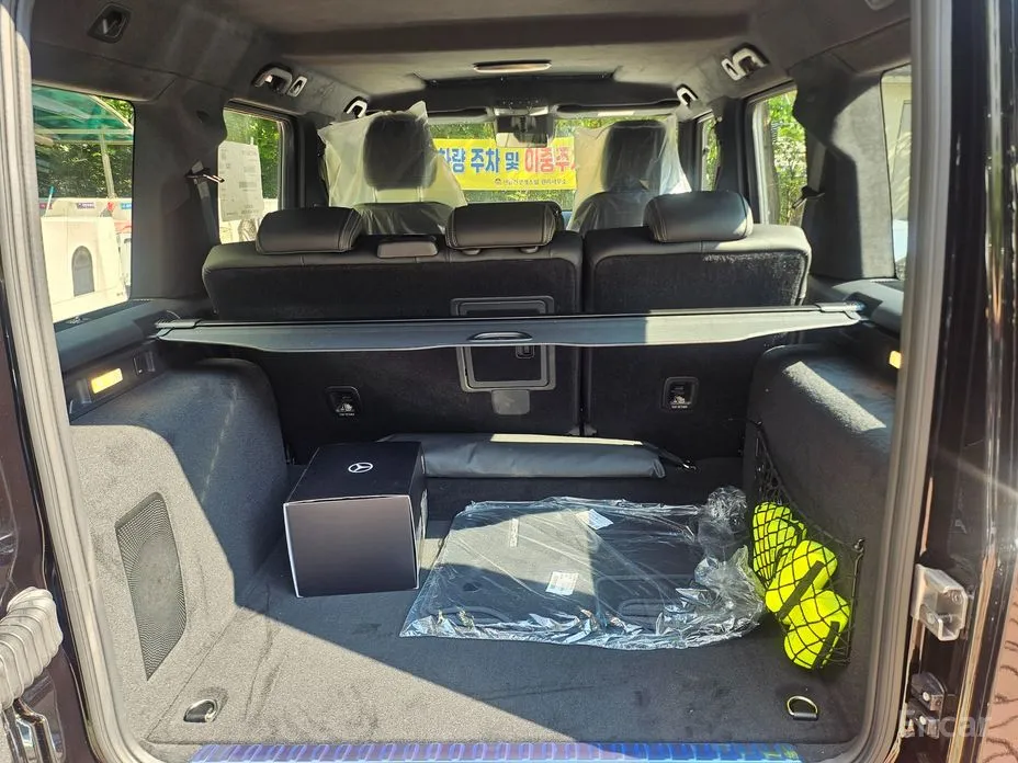 Mercedes-Benz G-Class 2024 G450d