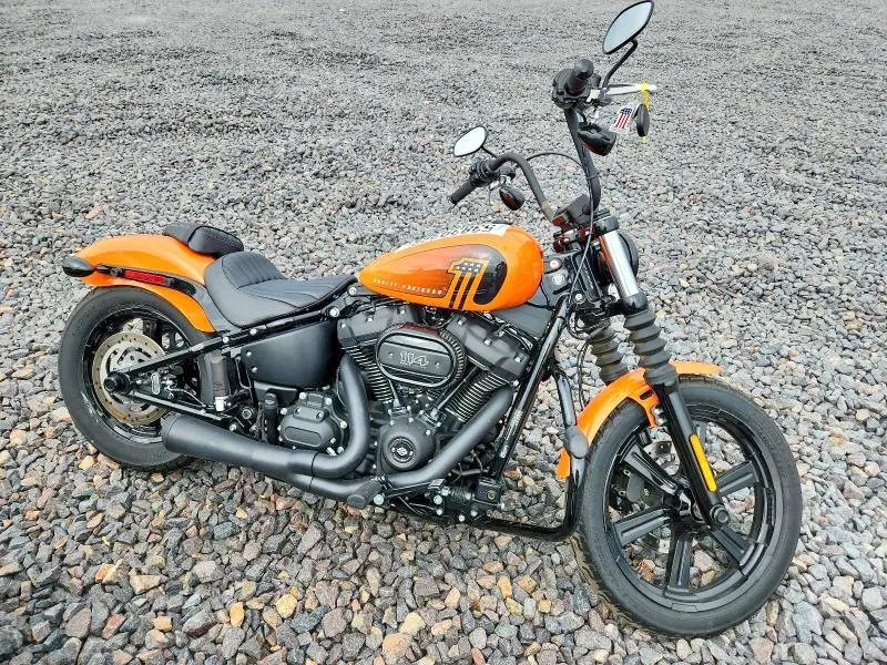 HARLEY-DAVIDSON ALL OTHER 2024