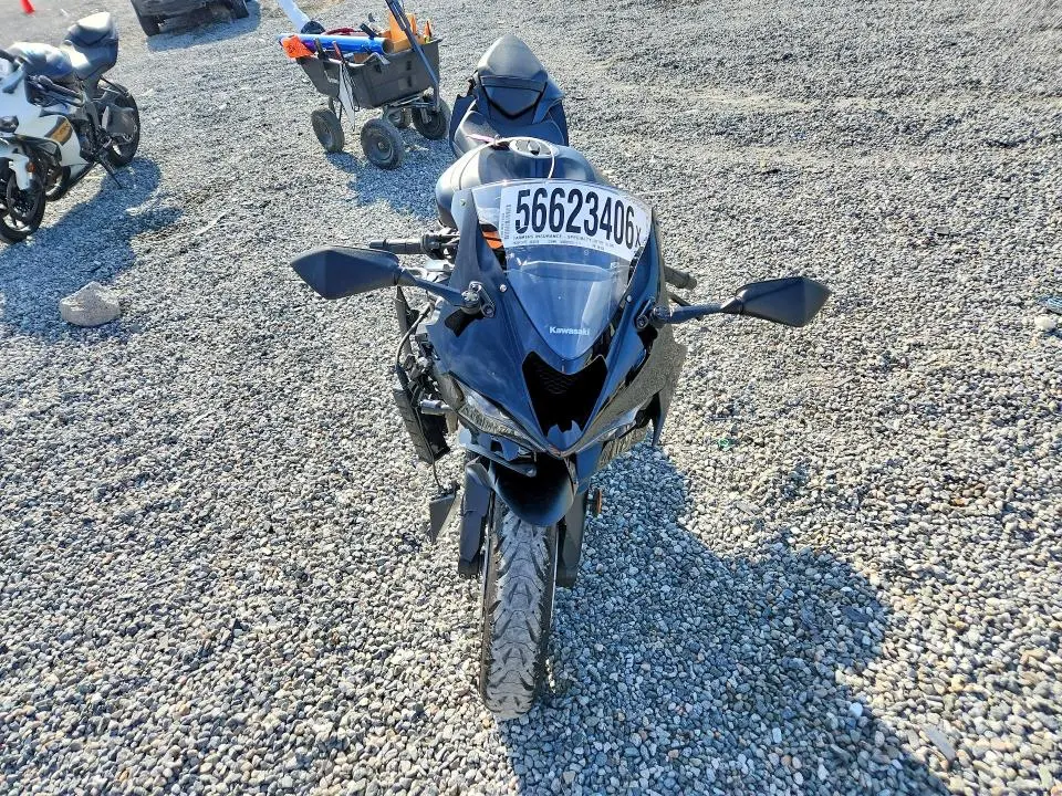 KAWASAKI NINJA 600 2024