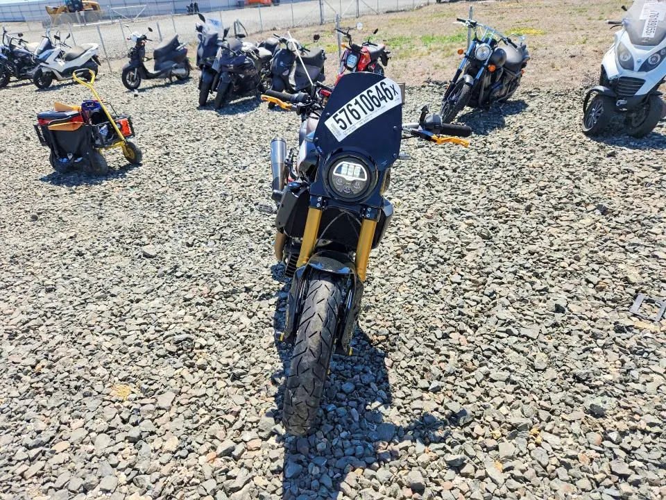 INDIAN ALL OTHER 2019