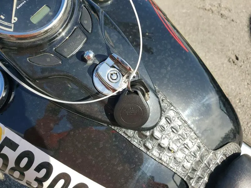 HARLEY-DAVIDSON FL 2009