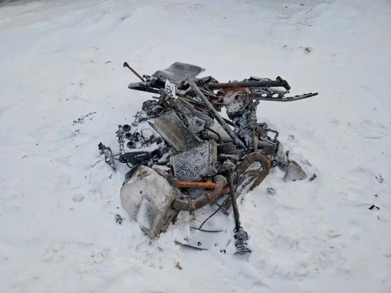 YAMAHA SNOWMOBILE 2015