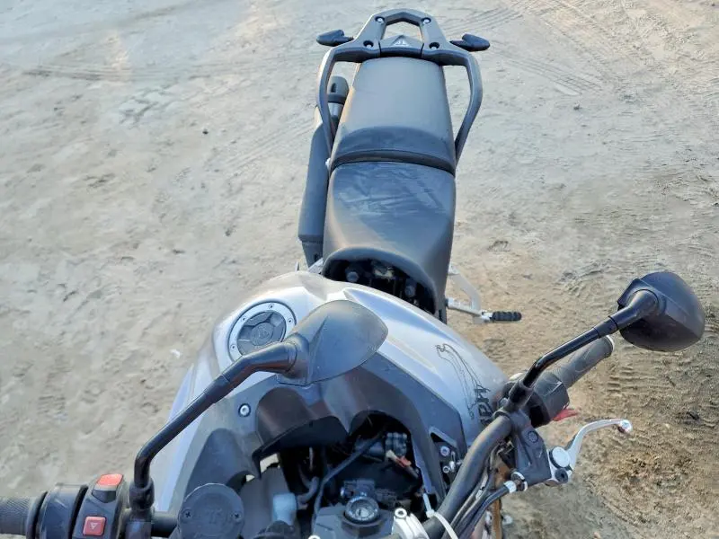 TRIUMPH TIGER 2023